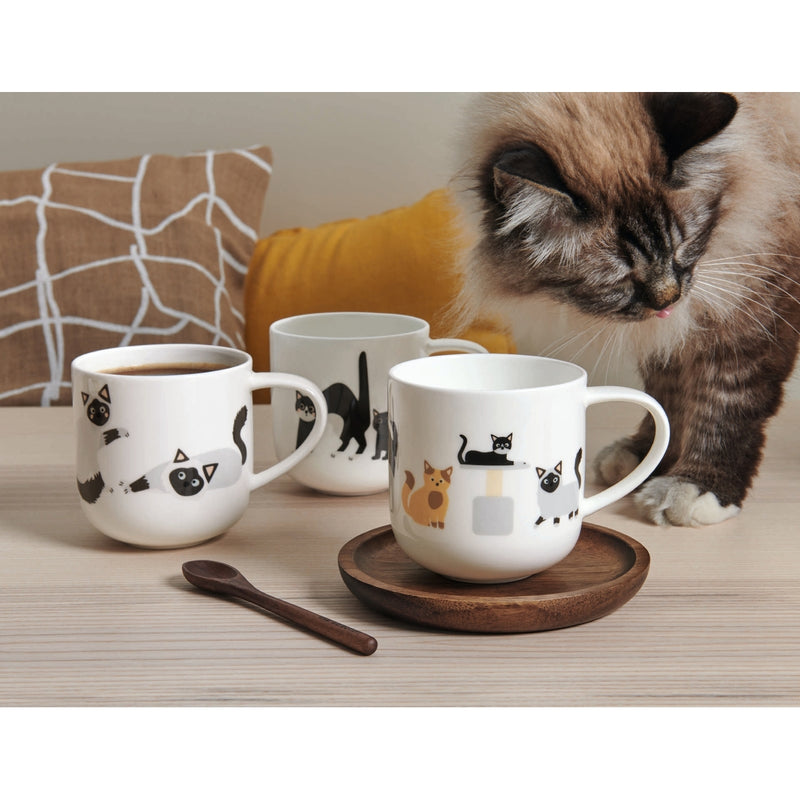 Henkelbecher, Cats