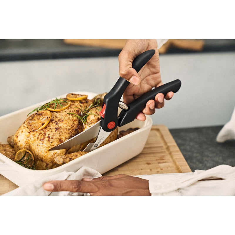 Geflügelschere 25 cm, Kunststoff