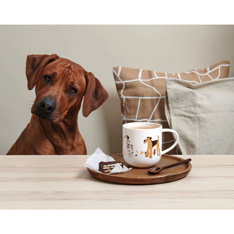 Henkelbecher, Dogs