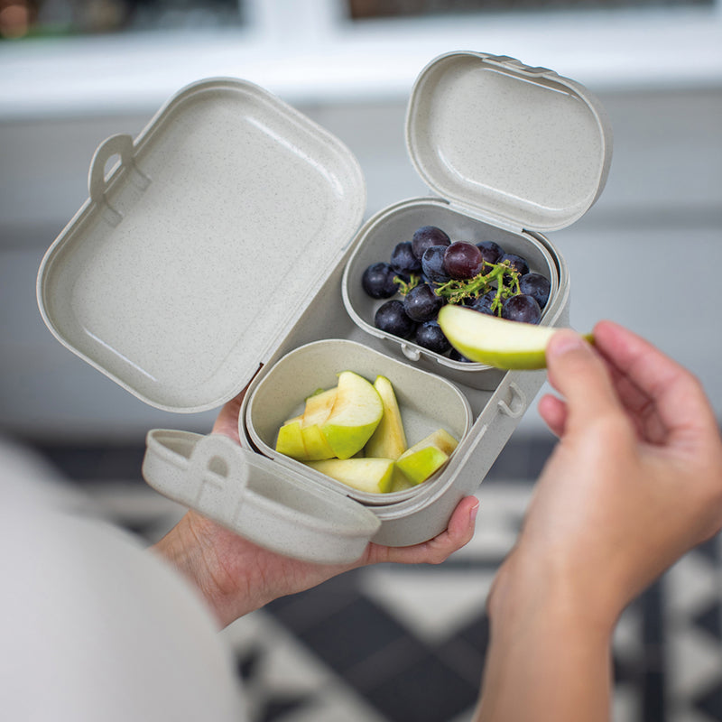 Lunchbox-Set, PASCAL READY MINI