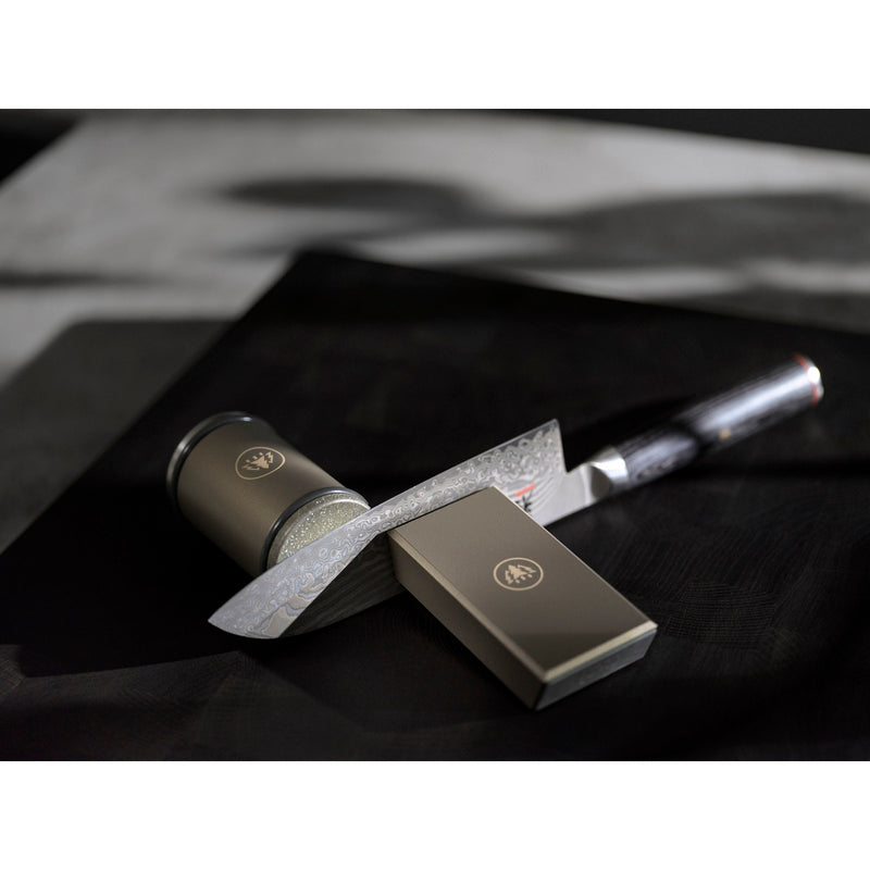 Rollschleifer Pro Horl3