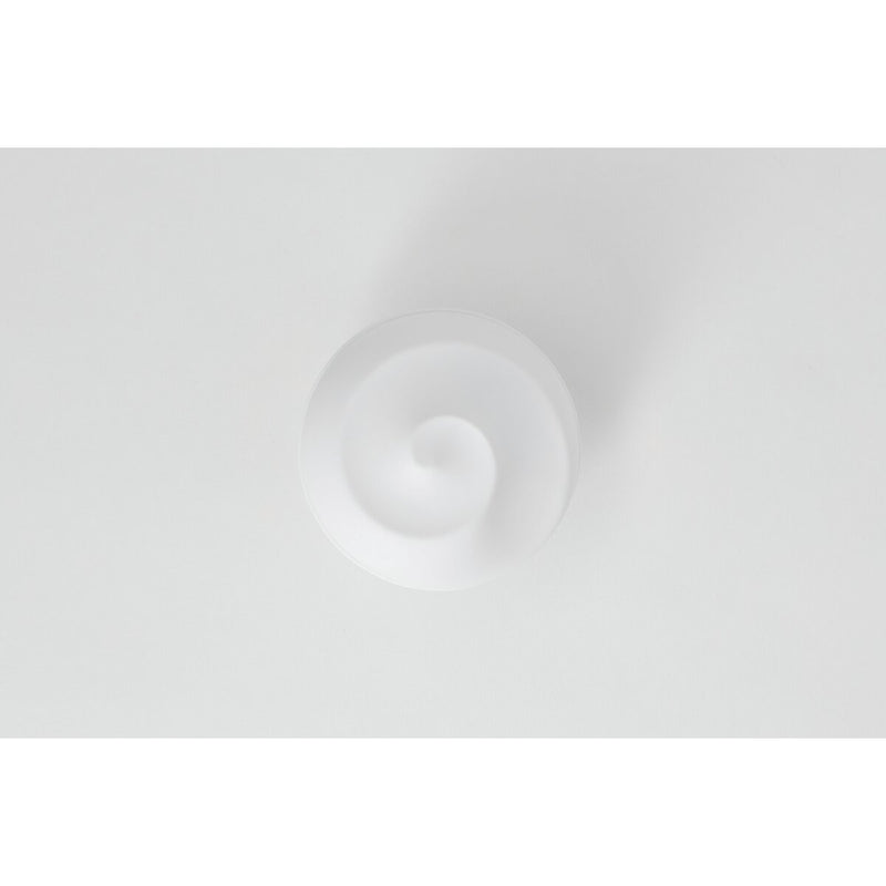 Muscheldose D:9cm H:7,5cm