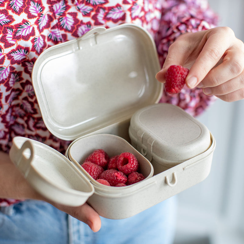 Lunchbox-Set, PASCAL READY MINI
