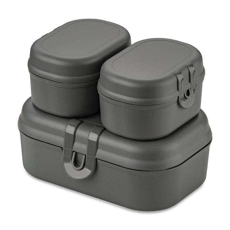 Lunchbox-Set, PASCAL READY MINI