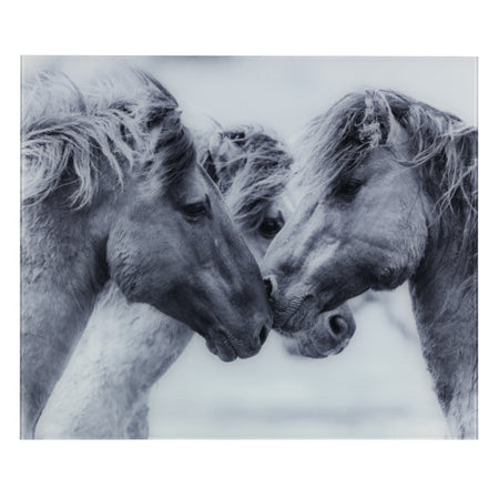 Glasrückwand Horses 60 x 50 cm