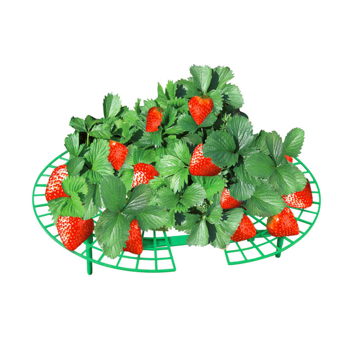 Erdbeer-Reifer 5er Set