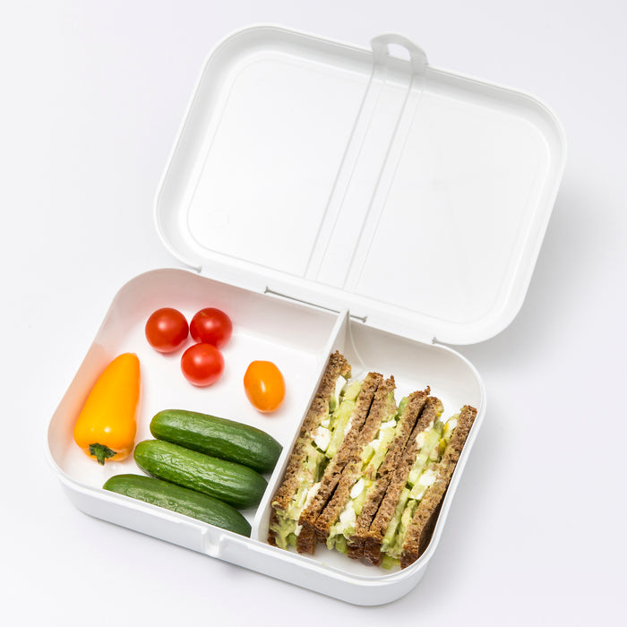 Lunchbox/Brotdose Pascal L mit Trennsteg organic blue